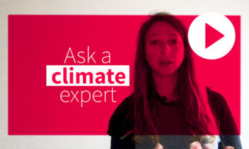 Carbon Reduction, Carbon avoidance or Carbon removal? Ask a climate expert.